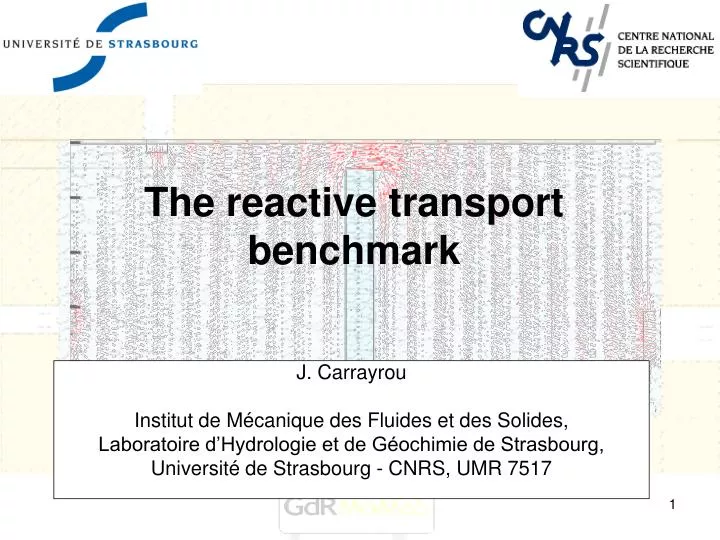the reactive transport benchmark