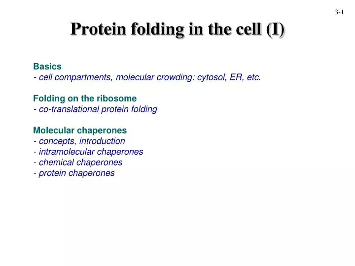 protein folding in the cell i