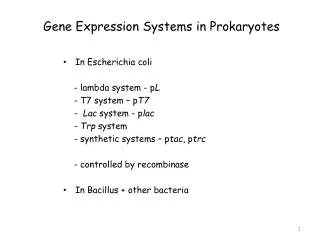 Gene Expression Systems in Prokaryotes