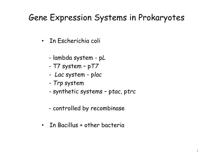 gene expression systems in prokaryotes