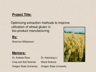 Optimizing extraction methods to improve utilization of wheat gluten in			bio-product manufacturing