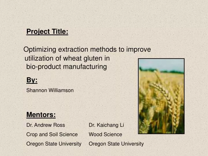 optimizing extraction methods to improve utilization of wheat gluten in bio product manufacturing