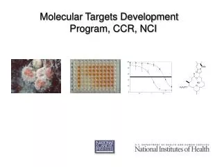 Molecular Targets Development Program, CCR, NCI