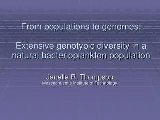 From populations to genomes: Extensive genotypic diversity in a natural bacterioplankton population