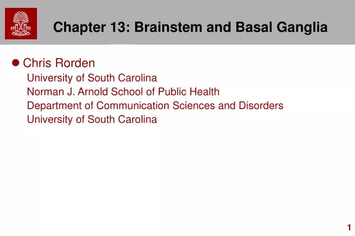 chapter 13 brainstem and basal ganglia
