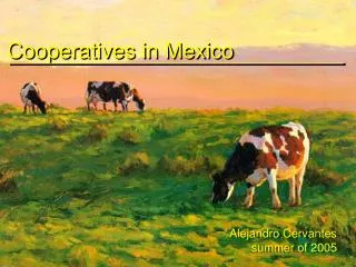 Cooperatives in Mexico