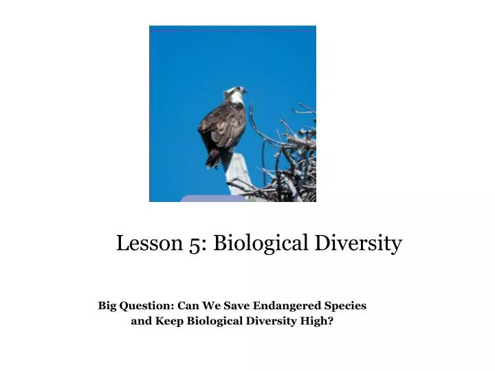 lesson 5 biological diversity