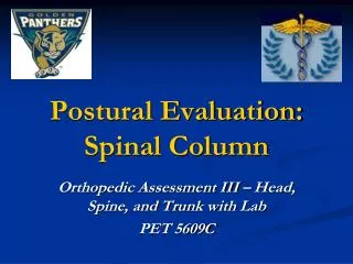 Postural Evaluation: Spinal Column