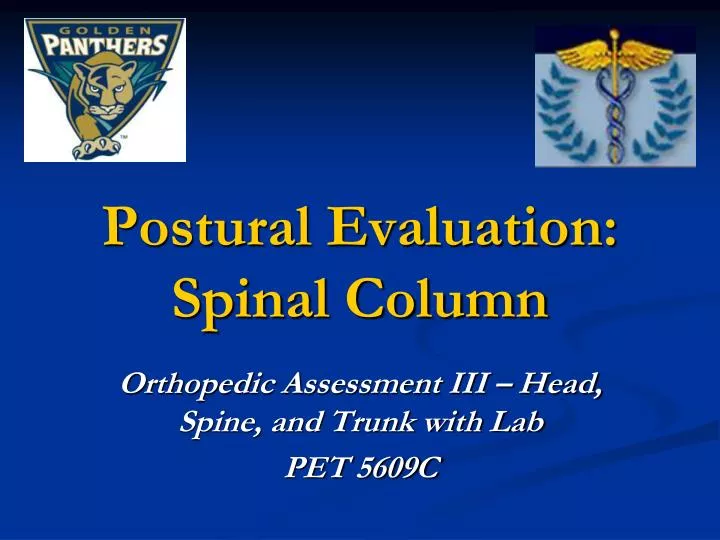 postural evaluation spinal column