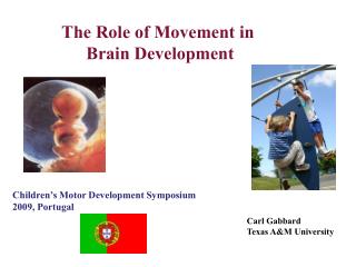 Carl Gabbard Texas A&amp;M University