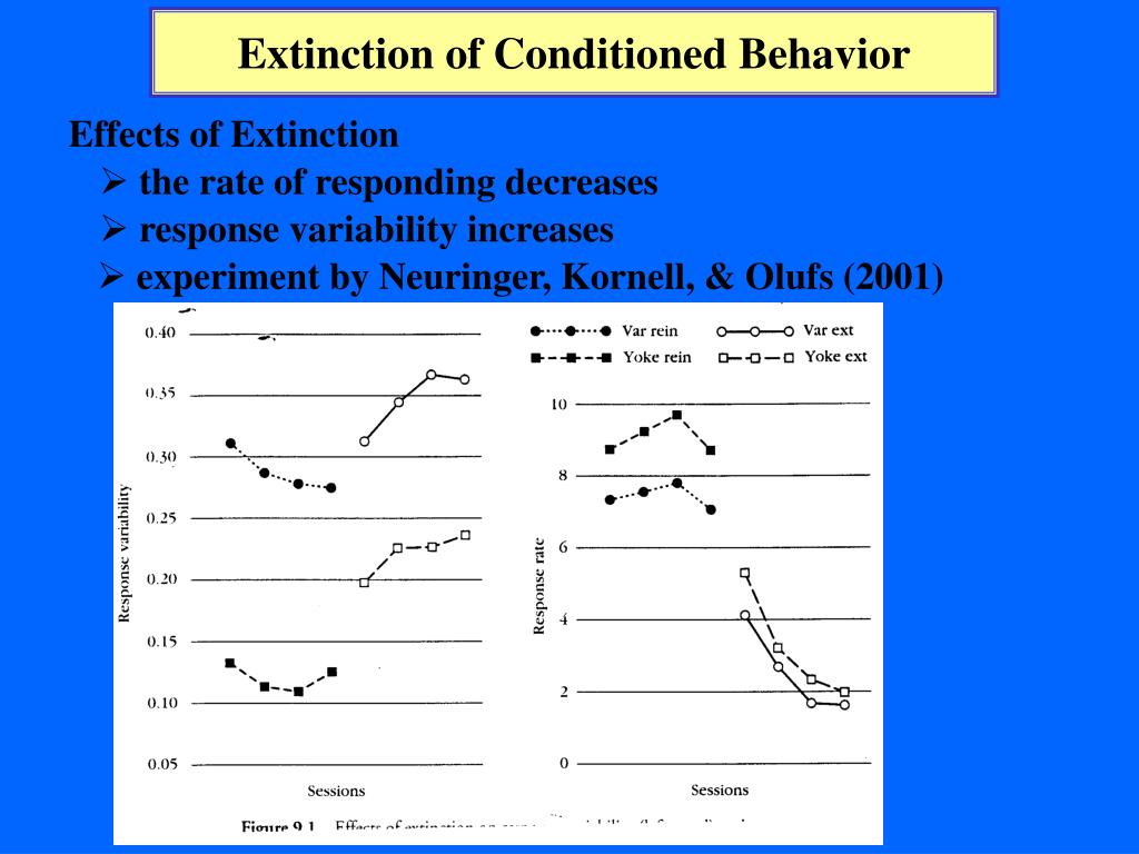 PPT - Extinction of Conditioned Behavior PowerPoint Presentation, free ...