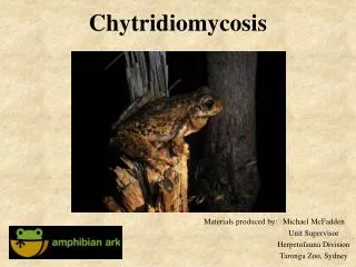 Chytridiomycosis