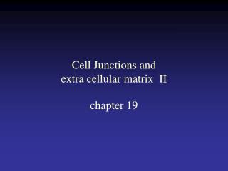 Cell Junctions and extra cellular matrix II