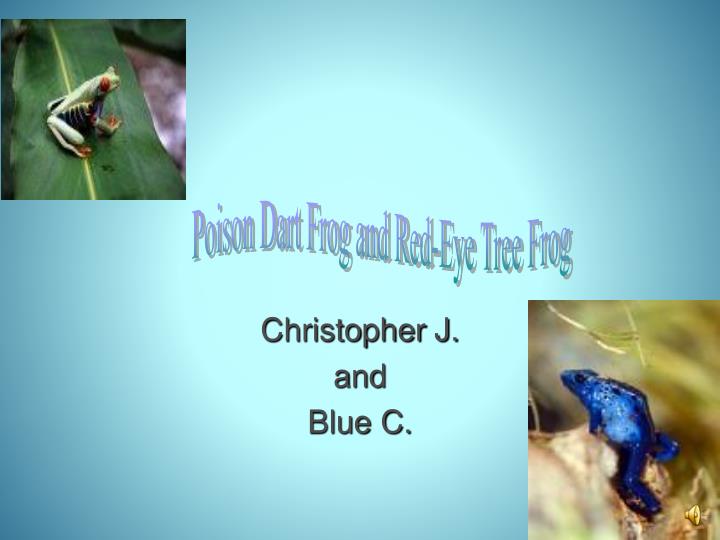 christopher j and blue c