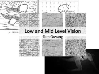 Low and Mid Level Vision Tom Ouyang