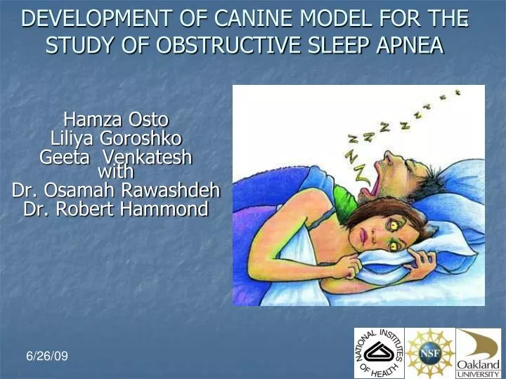 development of canine model for the study of obstructive sleep apnea