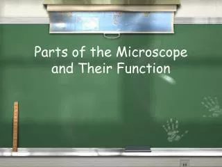 Parts of the Microscope and Their Function