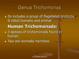 Genus Trichomonas