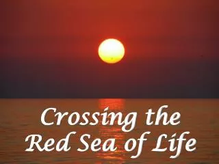Crossing the Red Sea of Life