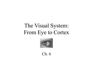 The Visual System: From Eye to Cortex