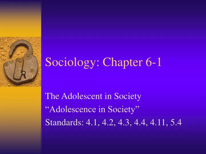 sociology chapter 6 1