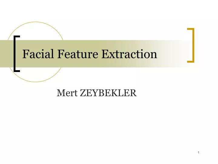 facial feature extraction
