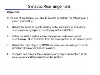 Synaptic Rearrangement