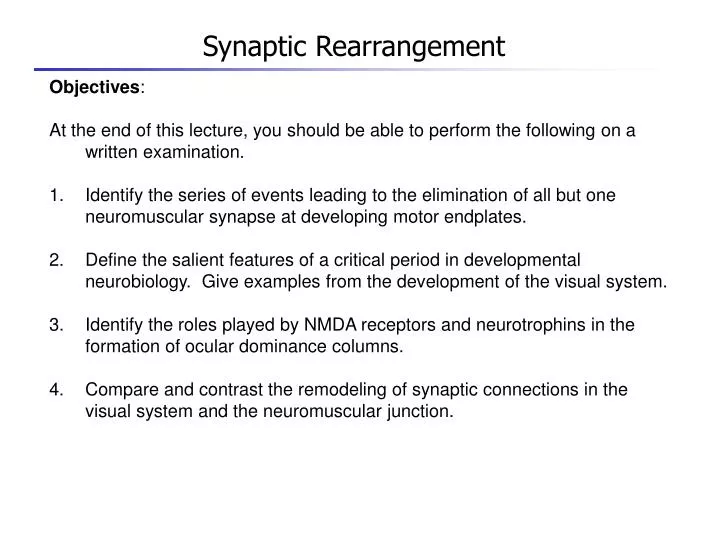 synaptic rearrangement