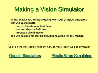 Making a Vision Simulator