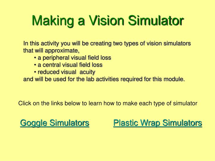 making a vision simulator