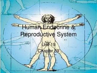 Human Endocrine &amp; Reproductive System