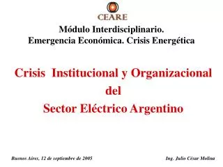 Crisis Institucional y Organizacional del Sector Eléctrico Argentino
