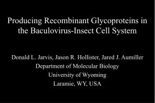 Producing Recombinant Glycoproteins in the Baculovirus-Insect Cell System