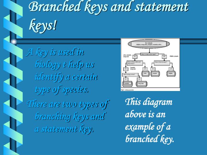 branched keys and statement keys
