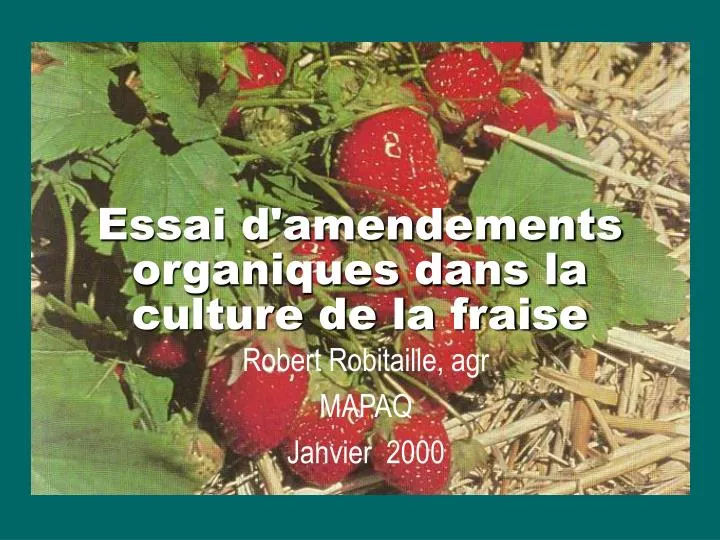 essai d amendements organiques dans la culture de la fraise