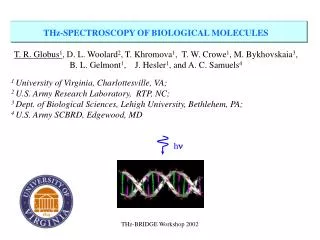 THz-SPECTROSCOPY OF BIOLOGICAL MOLECULES