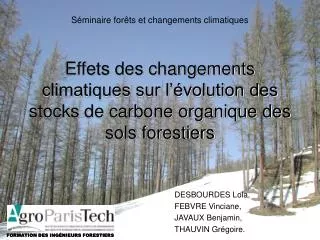 Effets des changements climatiques sur l’évolution des stocks de carbone organique des sols forestiers