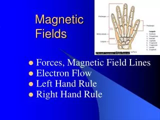 magnetic fields