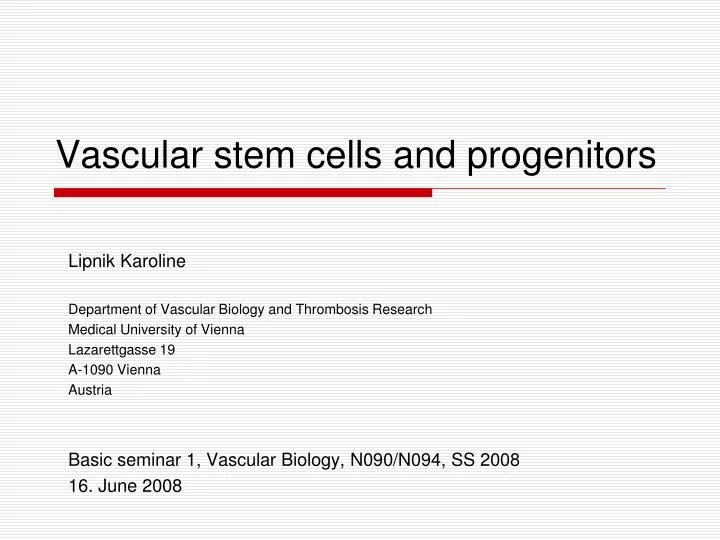 vascular stem cells and progenitors