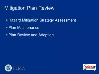 Mitigation Plan Review