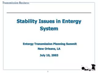 Stability Issues in Entergy System Entergy Transmission Planning Summit New Orleans, LA July 10, 2003