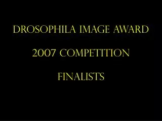 Drosophila Image Award 2007 Competition Finalists