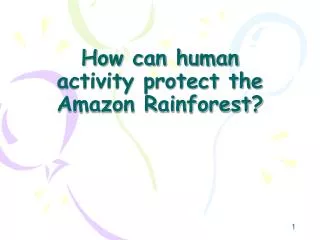 How can human activity protect the Amazon Rainforest?
