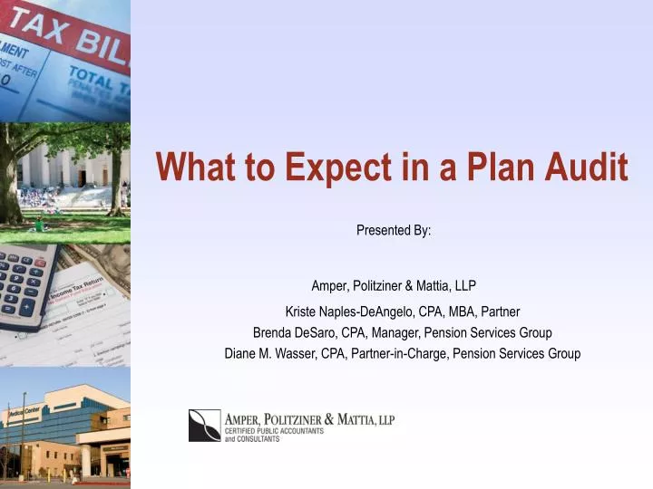 what to expect in a plan audit