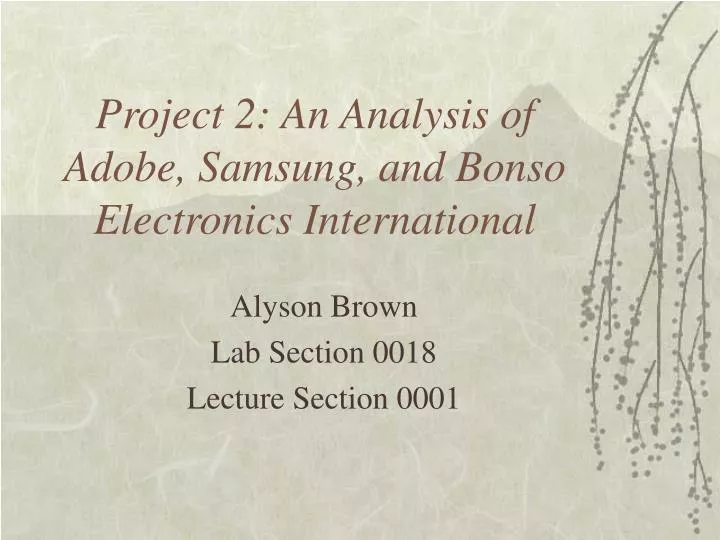 project 2 an analysis of adobe samsung and bonso electronics international