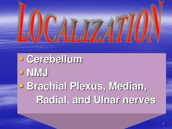 cerebellum nmj brachial plexus median radial and ulnar nerves