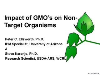 Impact of GMO’s on Non-Target Organisms