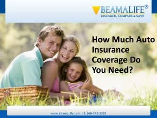 How Much Auto Insurance Coverage Do You Need