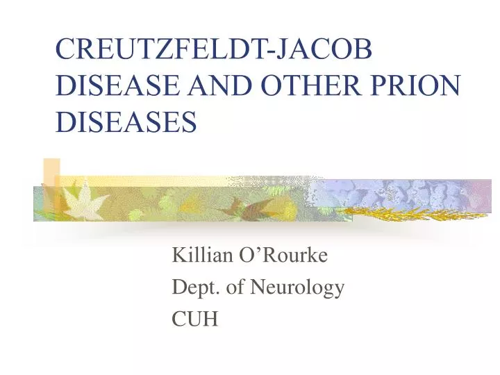 creutzfeldt jacob disease and other prion diseases