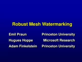 Robust Mesh Watermarking